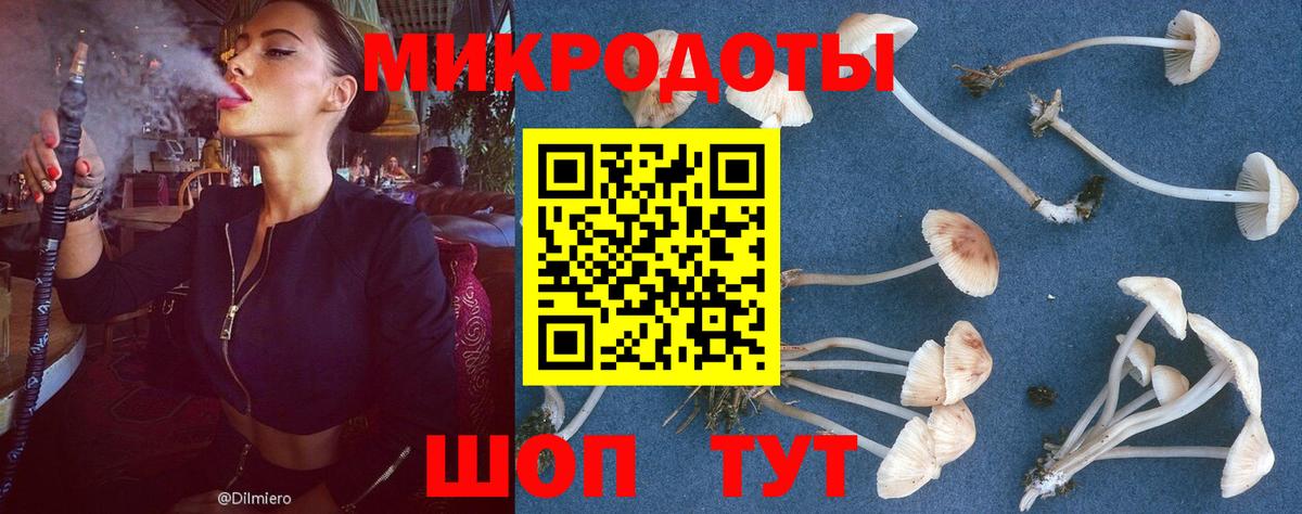 Галлюциногенные грибы MAGIC MUSHROOMS  Галлюциногенные грибы GOLDEN TEACHER  Новоуральск  Вход с VPN 